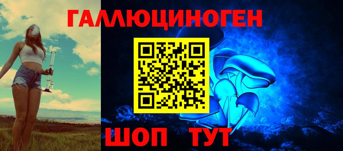 Псилоцибиновые грибы мицелий  Псилоцибиновые грибы Psilocybine cubensis  Кудымкар  Вход с VPN 