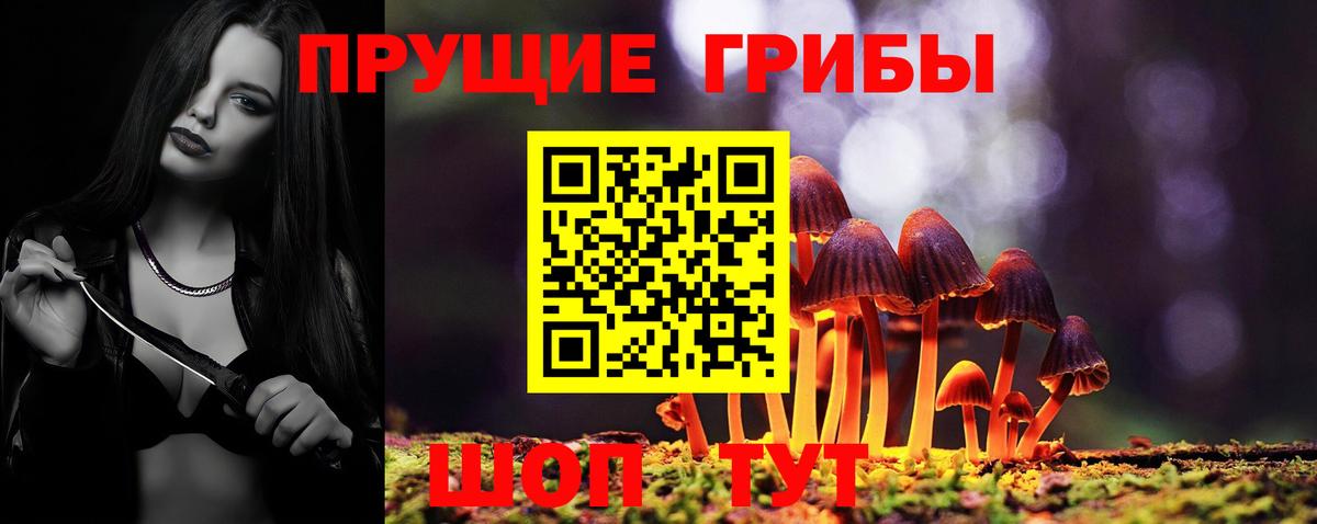 Псилоцибиновые грибы Magic Shrooms Кудымкар